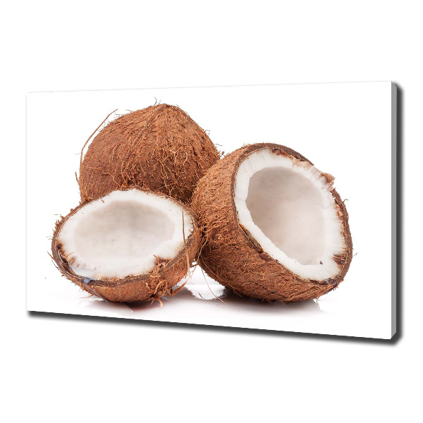 Fotocuadro en lienzo de alta calidad horizontal Coco