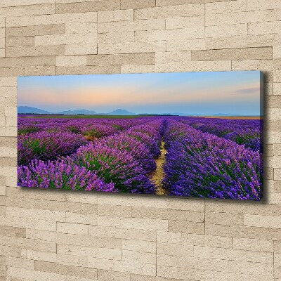 Foto en lienzo con acabado profesional horizontal campo de lavanda