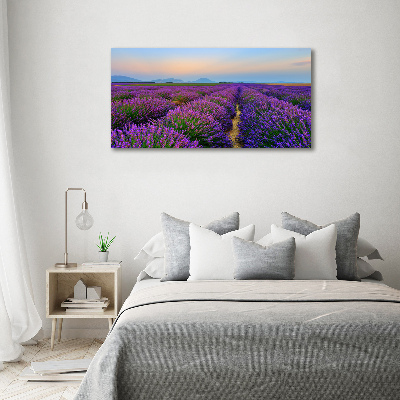 Foto en lienzo con acabado profesional horizontal campo de lavanda