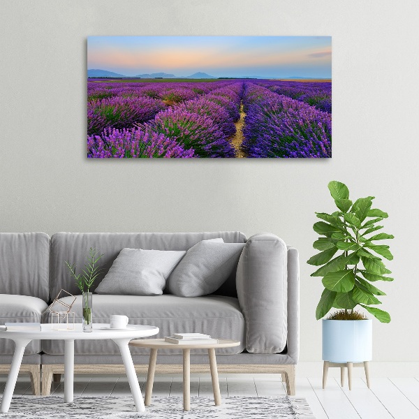 Foto en lienzo con acabado profesional horizontal campo de lavanda