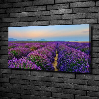 Foto en lienzo con acabado profesional horizontal campo de lavanda