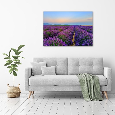 Foto en lienzo con acabado profesional horizontal campo de lavanda