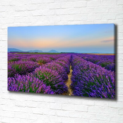Foto en lienzo con acabado profesional horizontal campo de lavanda