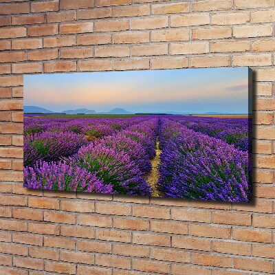 Foto en lienzo con acabado profesional horizontal campo de lavanda