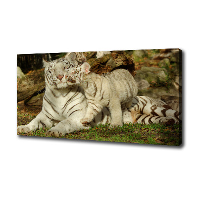 Cuadro canvas con impresión uv duradera horizontal Tigres