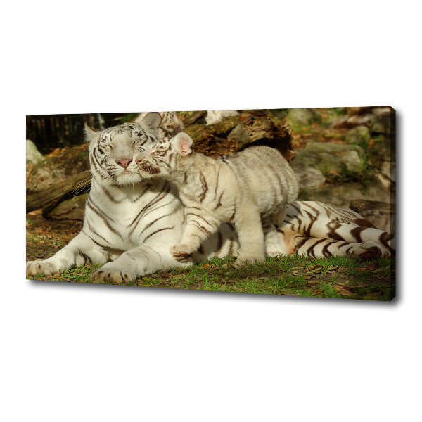 Cuadro canvas con impresión uv duradera horizontal Tigres