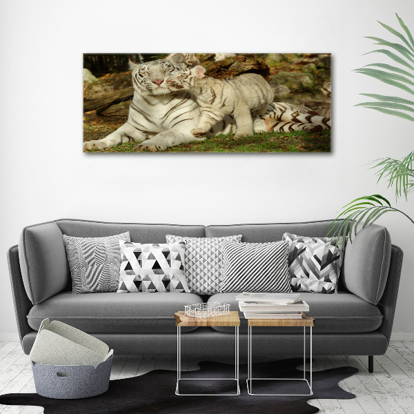 Cuadro canvas con impresión uv duradera horizontal Tigres