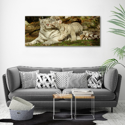 Cuadro canvas con impresión uv duradera horizontal Tigres