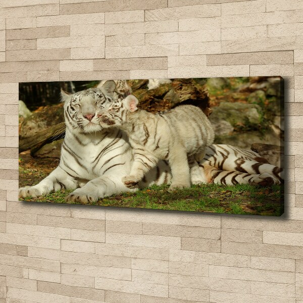 Cuadro canvas con impresión uv duradera horizontal Tigres