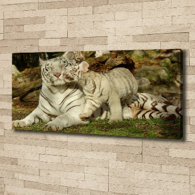 Cuadro canvas con impresión uv duradera horizontal Tigres