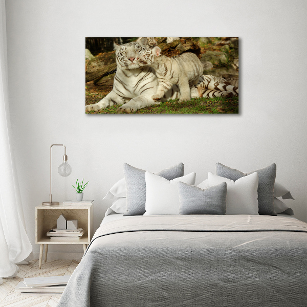 Cuadro canvas con impresión uv duradera horizontal Tigres