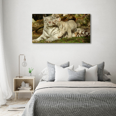 Cuadro canvas con impresión uv duradera horizontal Tigres