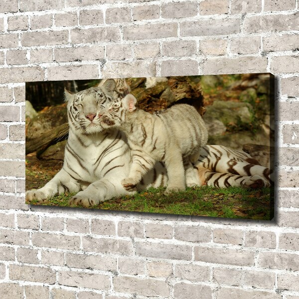 Cuadro canvas con impresión uv duradera horizontal Tigres