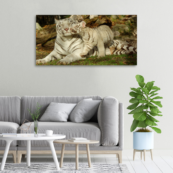 Cuadro canvas con impresión uv duradera horizontal Tigres