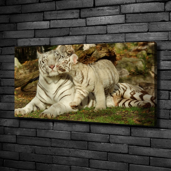 Cuadro canvas con impresión uv duradera horizontal Tigres