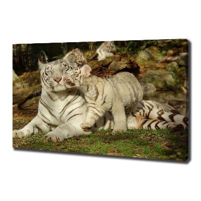 Cuadro canvas con impresión uv duradera horizontal Tigres