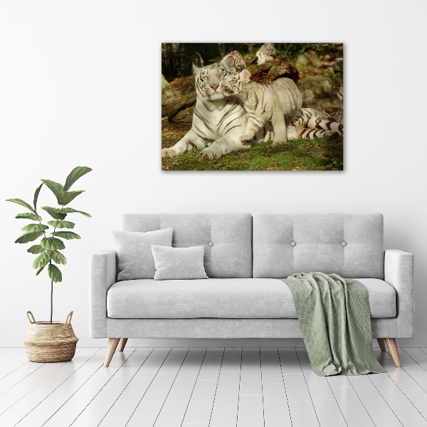 Cuadro canvas con impresión uv duradera horizontal Tigres