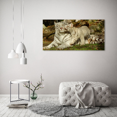 Cuadro canvas con impresión uv duradera horizontal Tigres