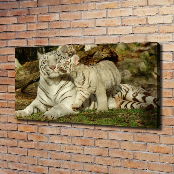 Cuadro canvas con impresión uv duradera horizontal Tigres