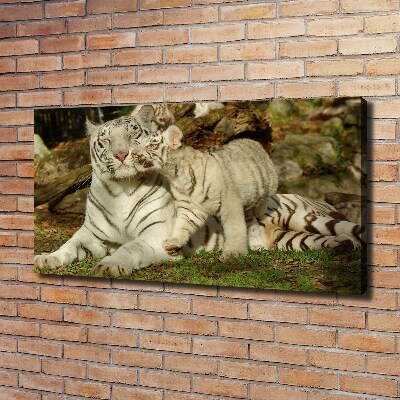 Cuadro canvas con impresión uv duradera horizontal Tigres