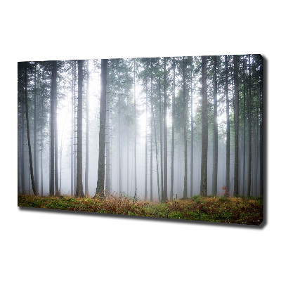 Fotocuadro en lienzo de alta calidad horizontal Niebla en el bosque