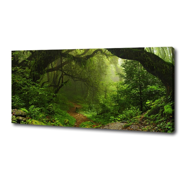 Foto en lienzo con acabado profesional horizontal Jungla en Nepal
