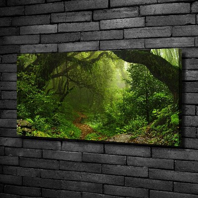 Foto en lienzo con acabado profesional horizontal Jungla en Nepal