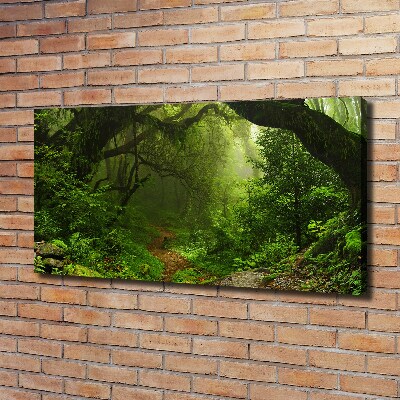 Foto en lienzo con acabado profesional horizontal Jungla en Nepal