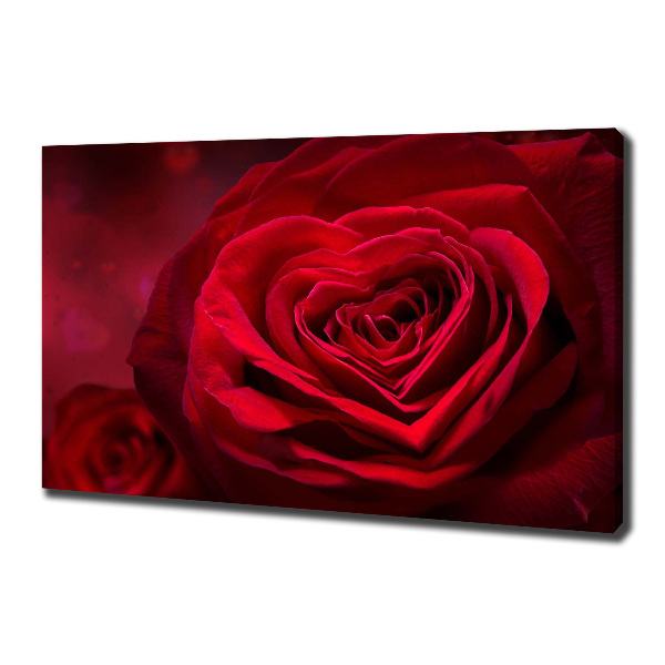 Fotocuadro en lienzo de alta calidad horizontal Corazón de rosa roja