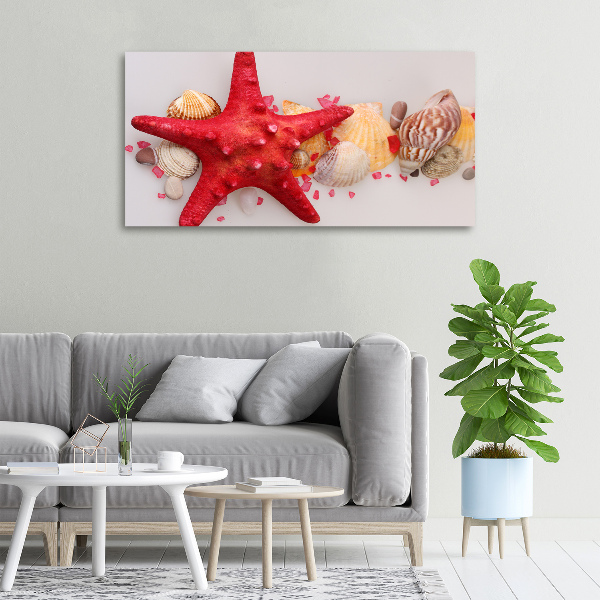 Cuadro canvas con impresión uv duradera horizontal Estrellas de mar y conchas