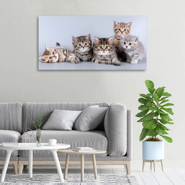 Cuadro canvas moderno de gran formato horizontal Cinco gatos