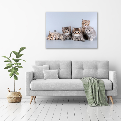 Cuadro canvas moderno de gran formato horizontal Cinco gatos