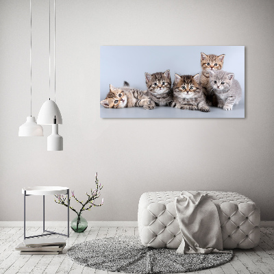 Cuadro canvas moderno de gran formato horizontal Cinco gatos