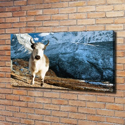 Foto obraz canvas Jak góry