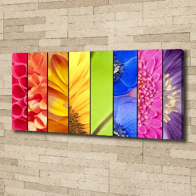 Fotocuadro en lienzo de alta calidad horizontal flores de colores