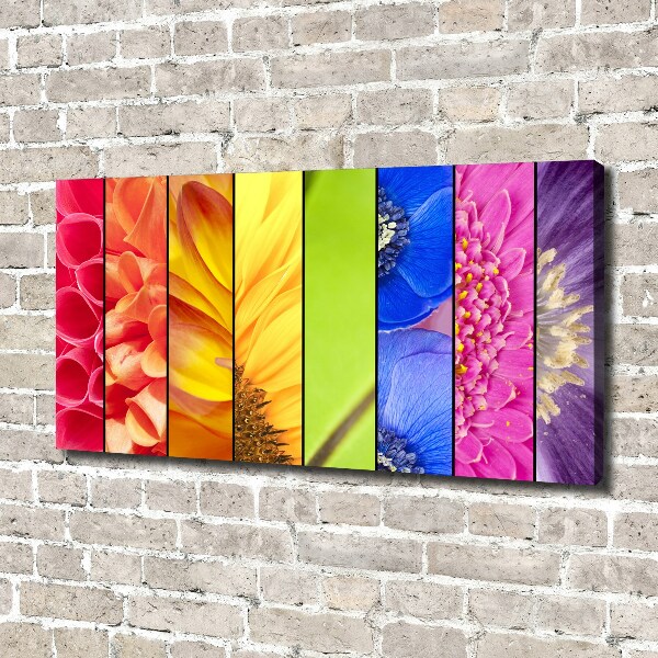 Fotocuadro en lienzo de alta calidad horizontal flores de colores