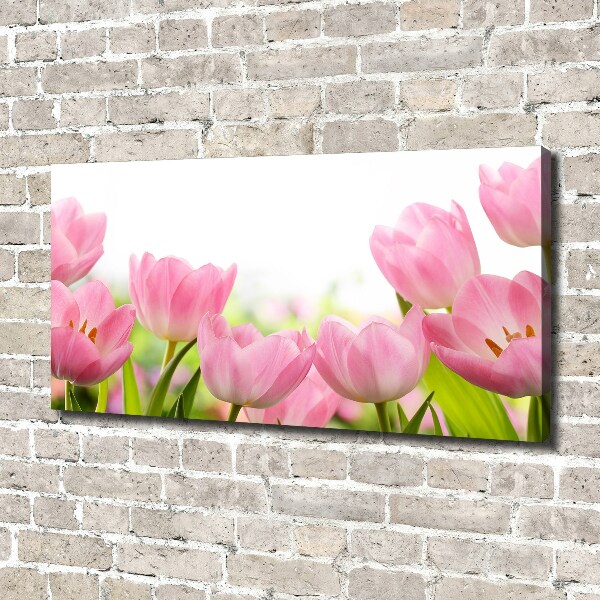 Cuadro canvas con impresión uv duradera horizontal tulipanes rosados