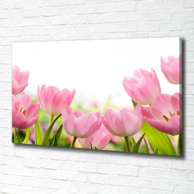 Cuadro canvas con impresión uv duradera horizontal tulipanes rosados