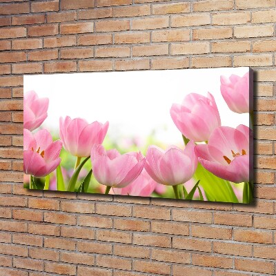 Cuadro canvas con impresión uv duradera horizontal tulipanes rosados