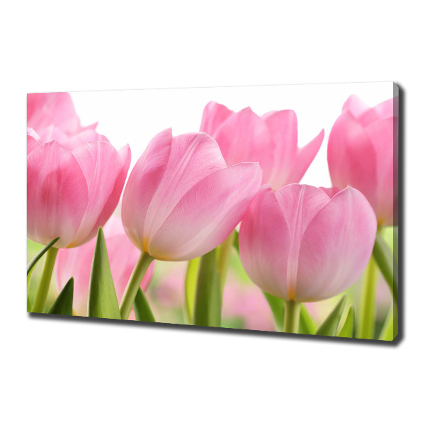 Cuadro canvas moderno de gran formato horizontal tulipanes rosados