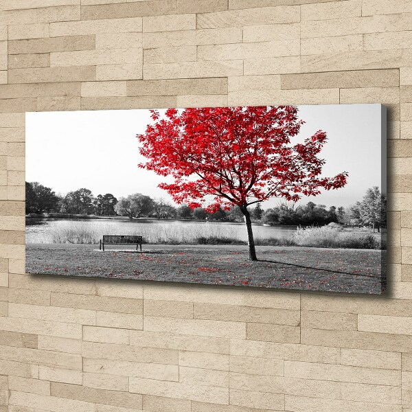 Cuadro canvas con impresión uv duradera horizontal Árbol rojo