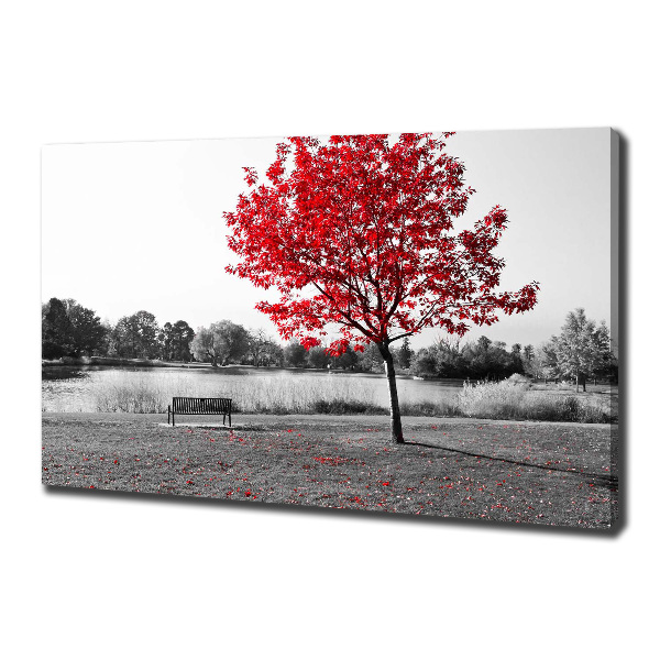 Cuadro canvas con impresión uv duradera horizontal Árbol rojo