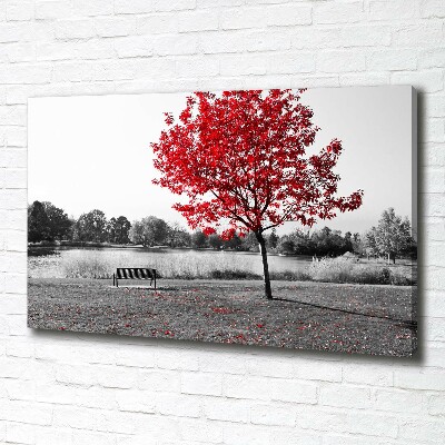 Cuadro canvas con impresión uv duradera horizontal Árbol rojo