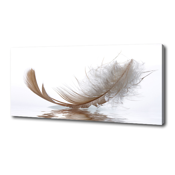 Cuadro canvas con impresión uv duradera horizontal Una pluma en el agua