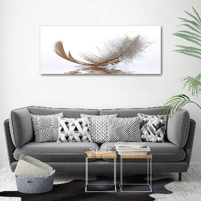 Cuadro canvas con impresión uv duradera horizontal Una pluma en el agua