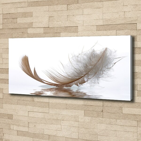 Cuadro canvas con impresión uv duradera horizontal Una pluma en el agua
