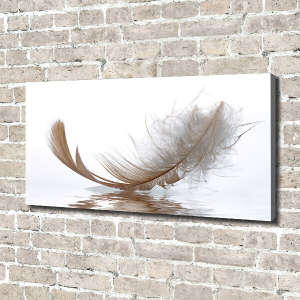 Cuadro canvas con impresión uv duradera horizontal Una pluma en el agua