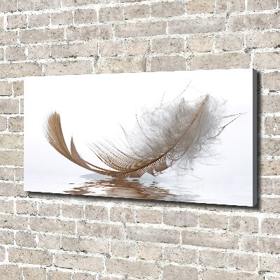 Cuadro canvas con impresión uv duradera horizontal Una pluma en el agua