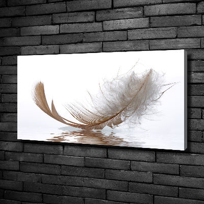 Cuadro canvas con impresión uv duradera horizontal Una pluma en el agua