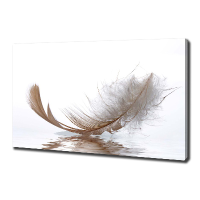 Cuadro canvas con impresión uv duradera horizontal Una pluma en el agua